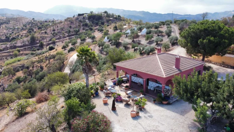 dji_fly_20240628_175556_842_1719590238051_photo_optimized-scaled.jpg